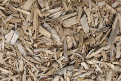 biomass boilers Dane End